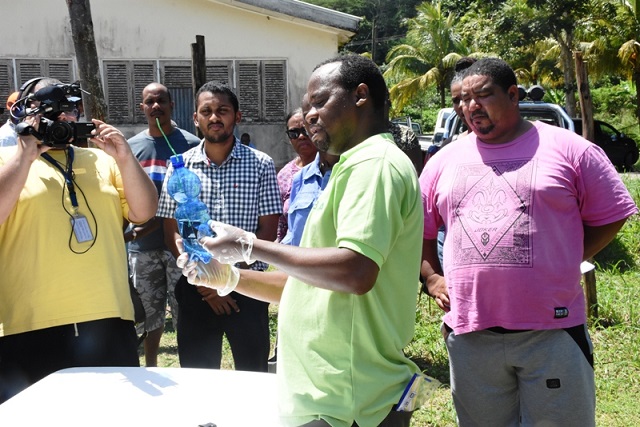 Targeting fruit flies in Seychelles to save melons, pumpkin and cucumbers