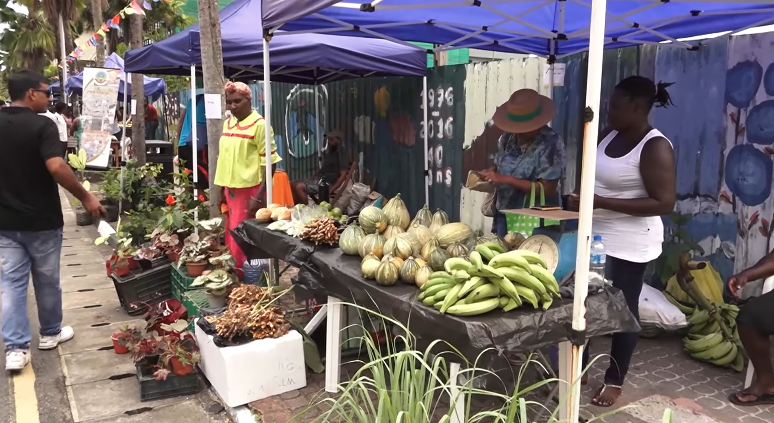 Lafwar agrikol dan kad lazournen mondyal pour manze